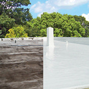 Roof – Silicone